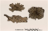 藏品(網梅衣)的圖片